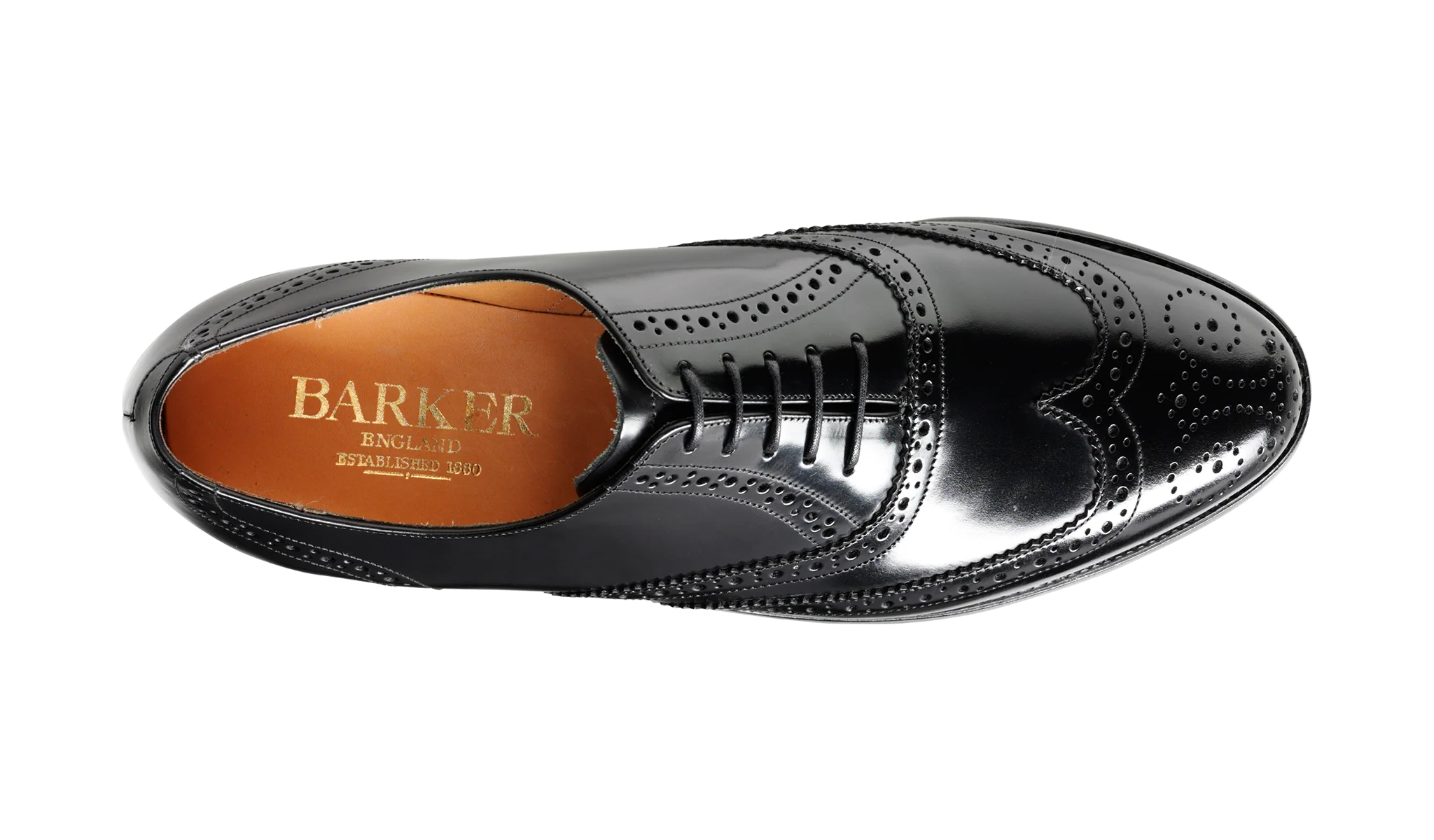 Albert - Black Hi-Shine - Image 3
