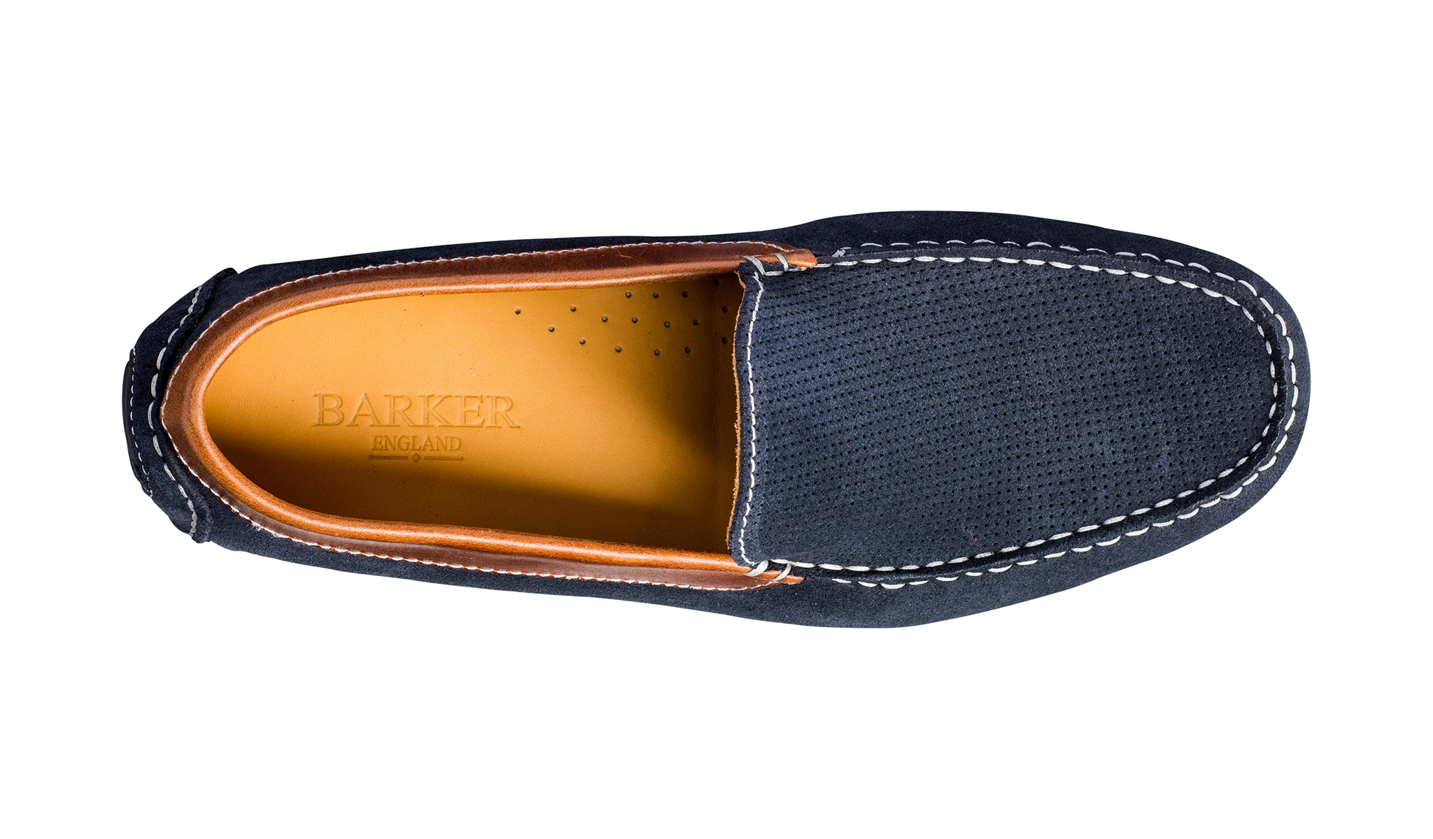 Denby - Navy Suede / Brown Collar - Image 3